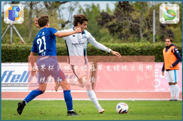 世界杯买球中的冠军竞猜玩法有哪些规则和注意事项？