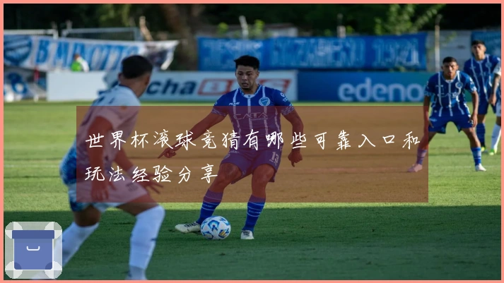 世界杯滚球竞猜有哪些可靠入口和玩法经验分享